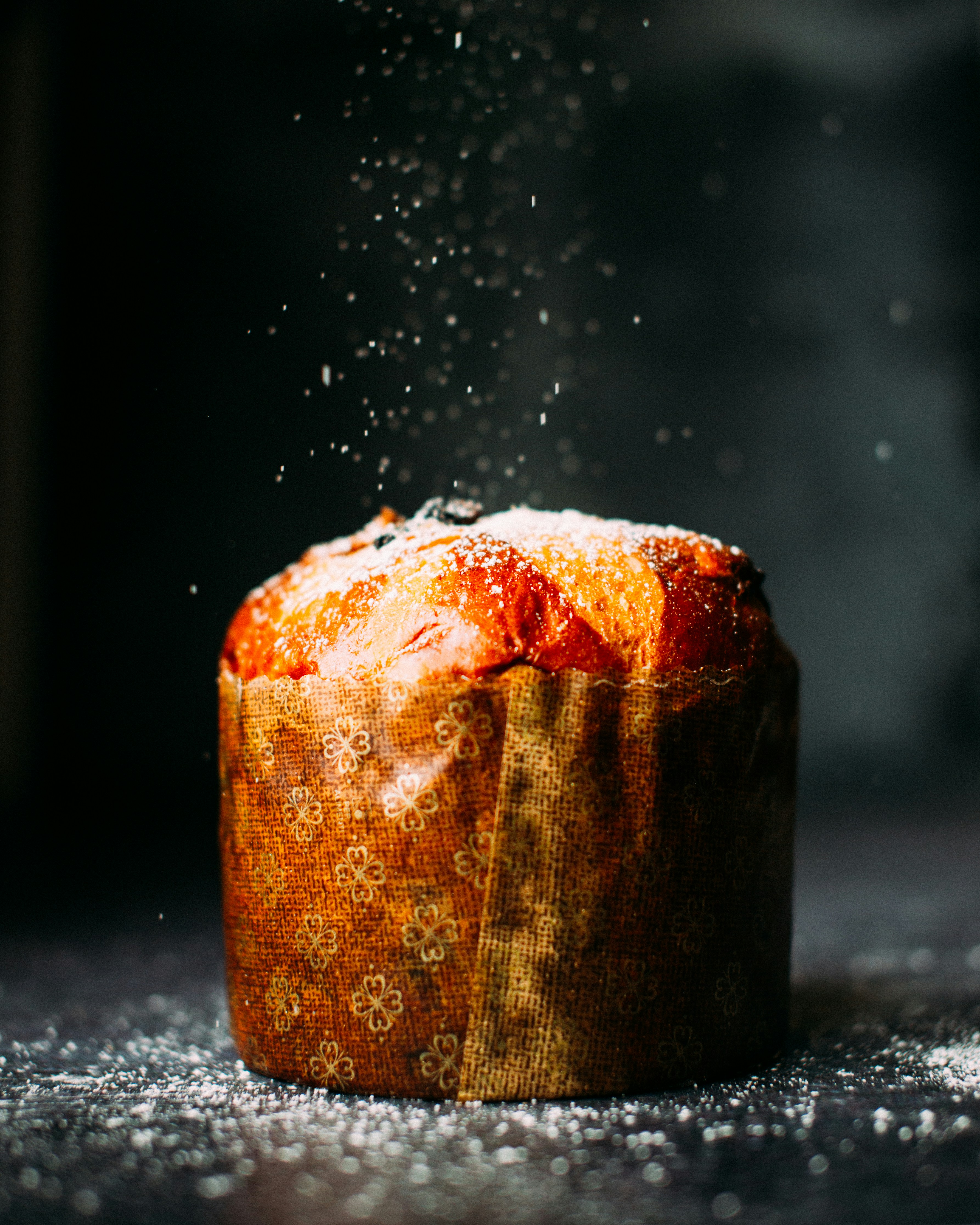 Panettone パネットーネ　jennifer-pallian